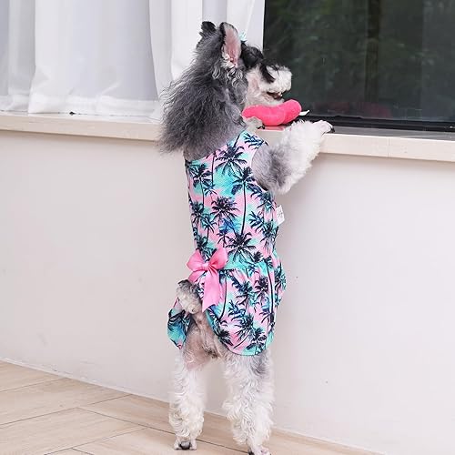 Miniatura 51 de CuteBone Vestido de malla para perro, vestido de Halloween para cachorros, traje de verano para mascotas, moda de verano para perros pequeños, ropa