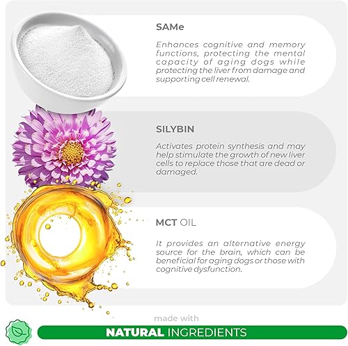 Miniatura 10 de Lo mismo para perros  S-adenosil-L-metionina  90 masticables suaves  con aceite MCT para una mejor absorción  Promueve la salud cerebral, el apoyo