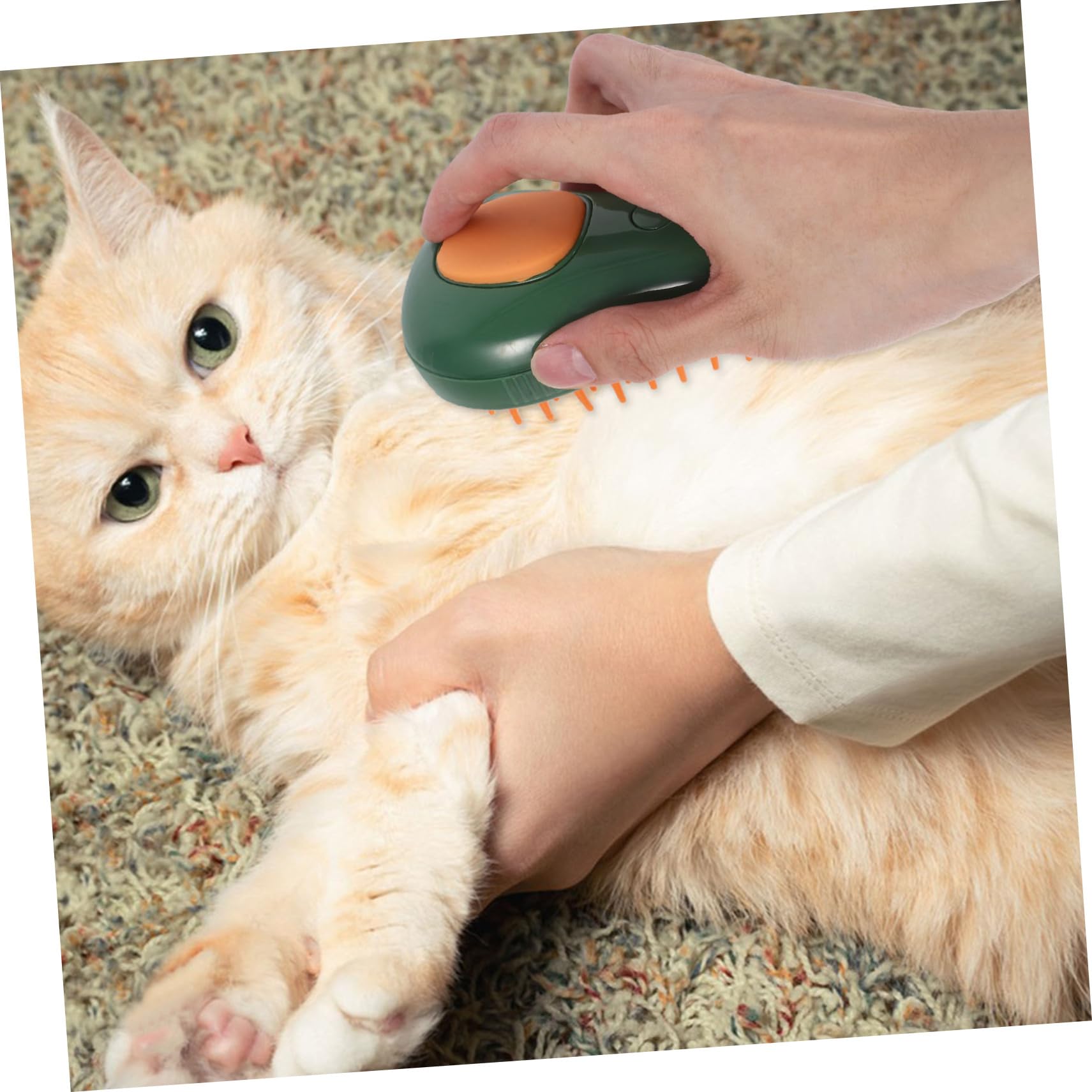 Kisangel 4stücke Elektrische Katzenbürste Mit Dampffunktion Katzenpflegebürste Für Selbstreinigung Und Massagen Inklusive Avocado-spray Für Entspannte Badeerlebnisse Und Effektive