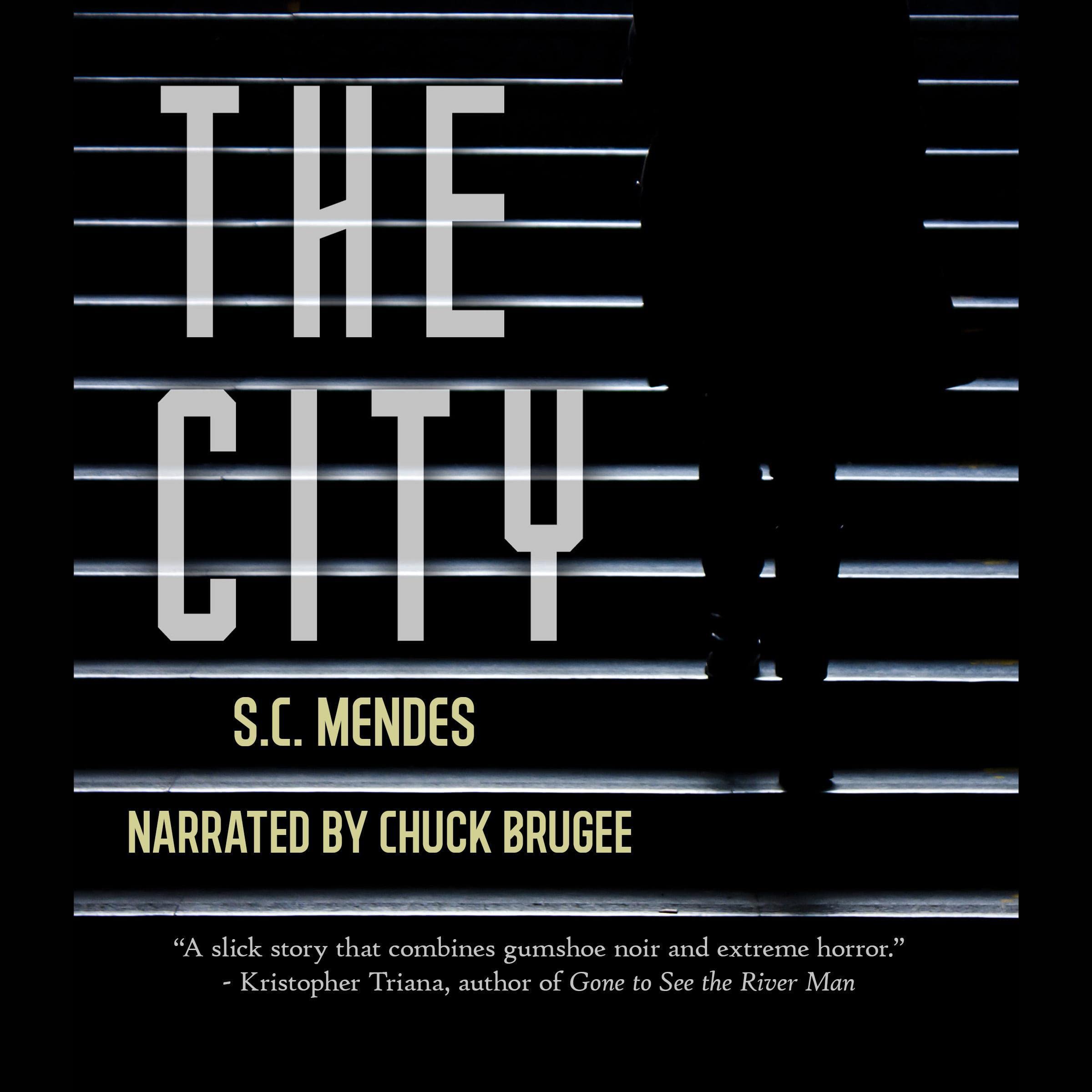 Cover art for The City