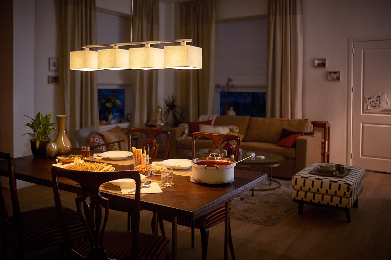 Ampoule Sphérique LED FLAIR à Intensité Lumineuse Variable G45 E27/2,2W(25W) 250 Lm 2700 K Blanc Chaud Mat - Luxembourg