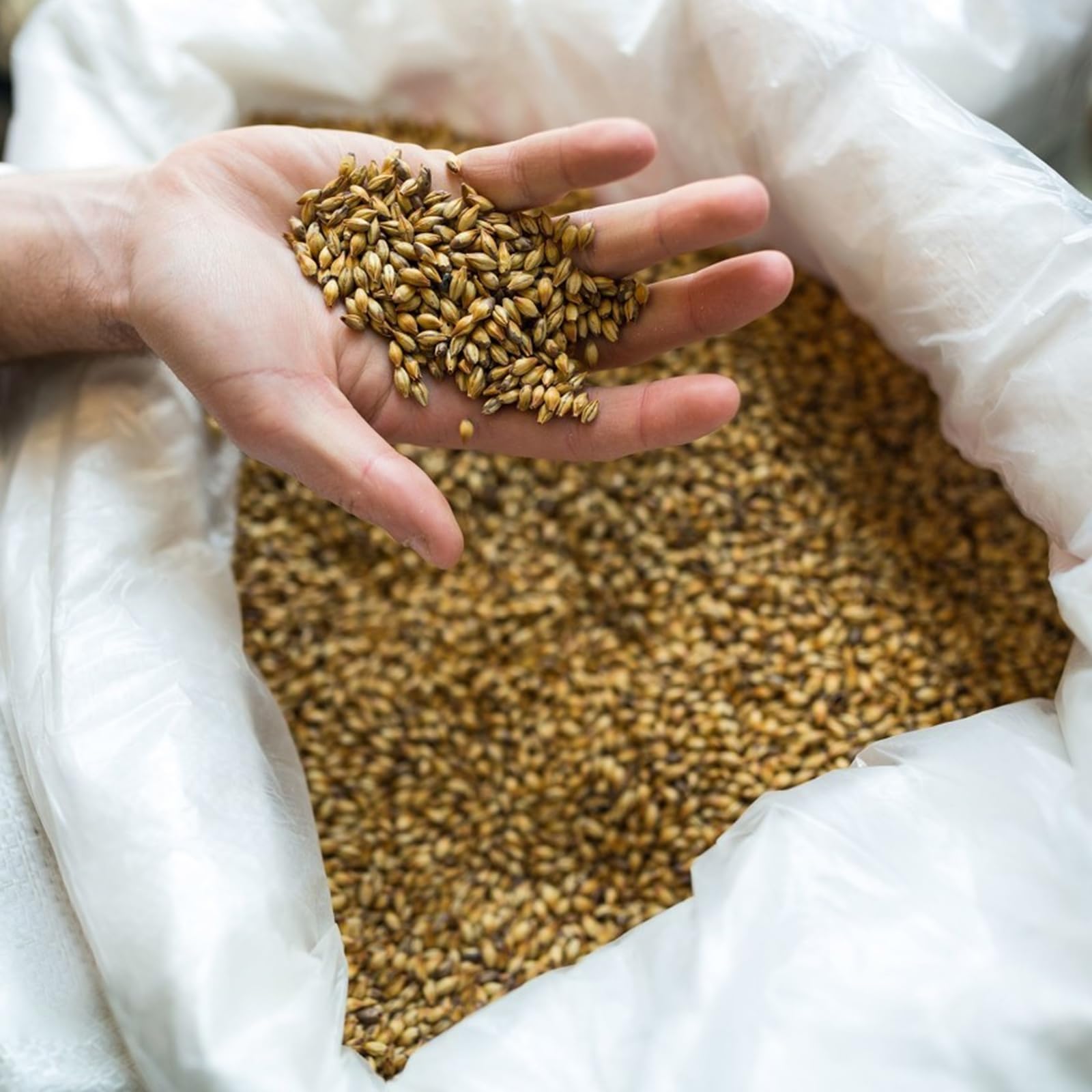 30 bolsas de tela de plástico, 50 kg, 65 x 110 cm, bolsas de arena para rellenar, bolsas de escombros de construcción, bolsas de patatas estables ideales para piensos, cereales, carbón,