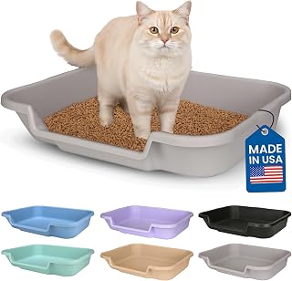 KittyGoHere Senior Cat Litter Box 1 Pack, Large Misty Gray Low Entrance Kitty Litter Box, Sized for Cats Comfort, Perfect for Senior and Arthritic Cats, Made in USA