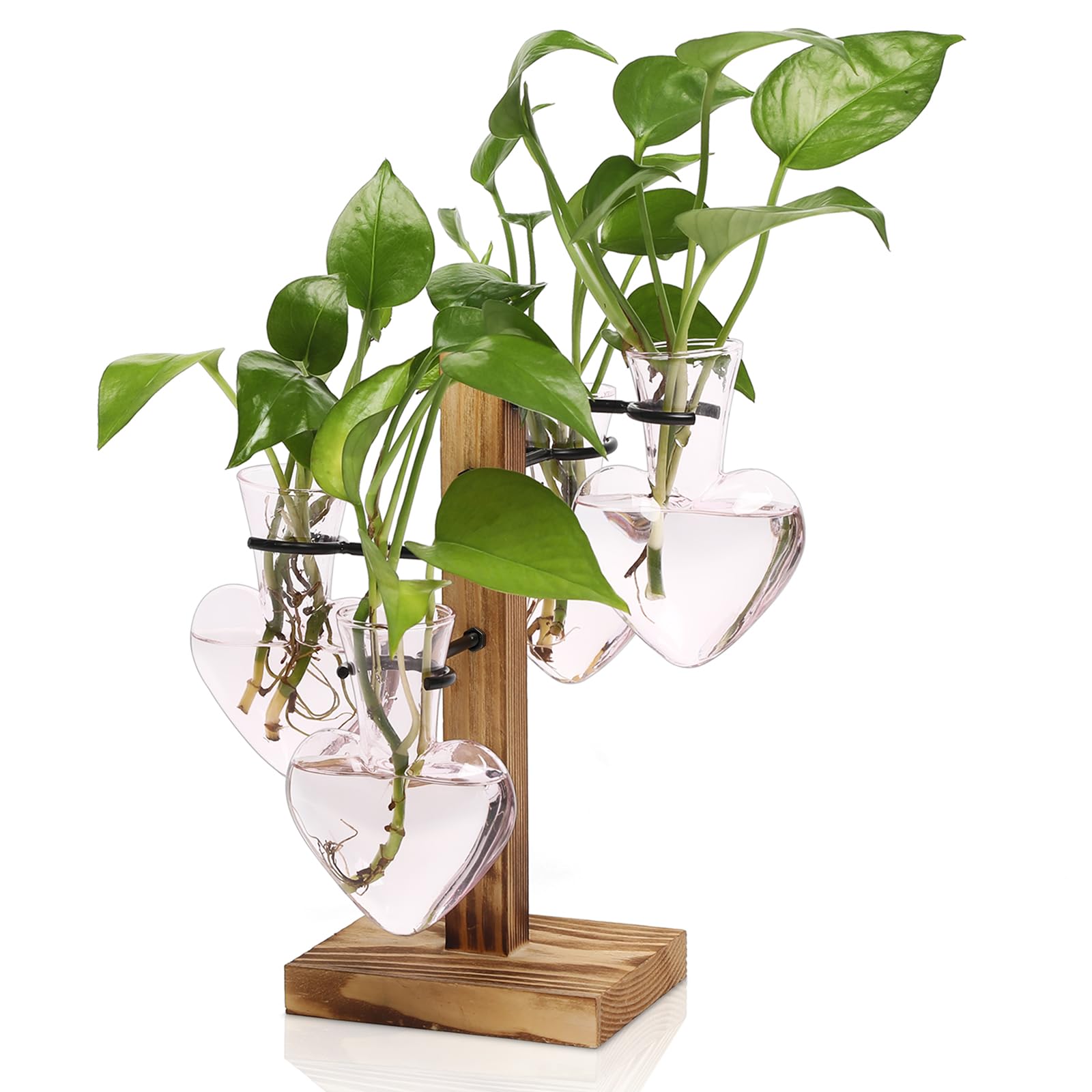 Pflanzen-Anzuchtstationen, Pflanzen-Terrarium-Set, Glas-Pflanzgefäße für Zimmerpflanzen, Zimmerpflanzenzubehör, Geschenk für Frauen, 4 Liebeszwiebelvasen