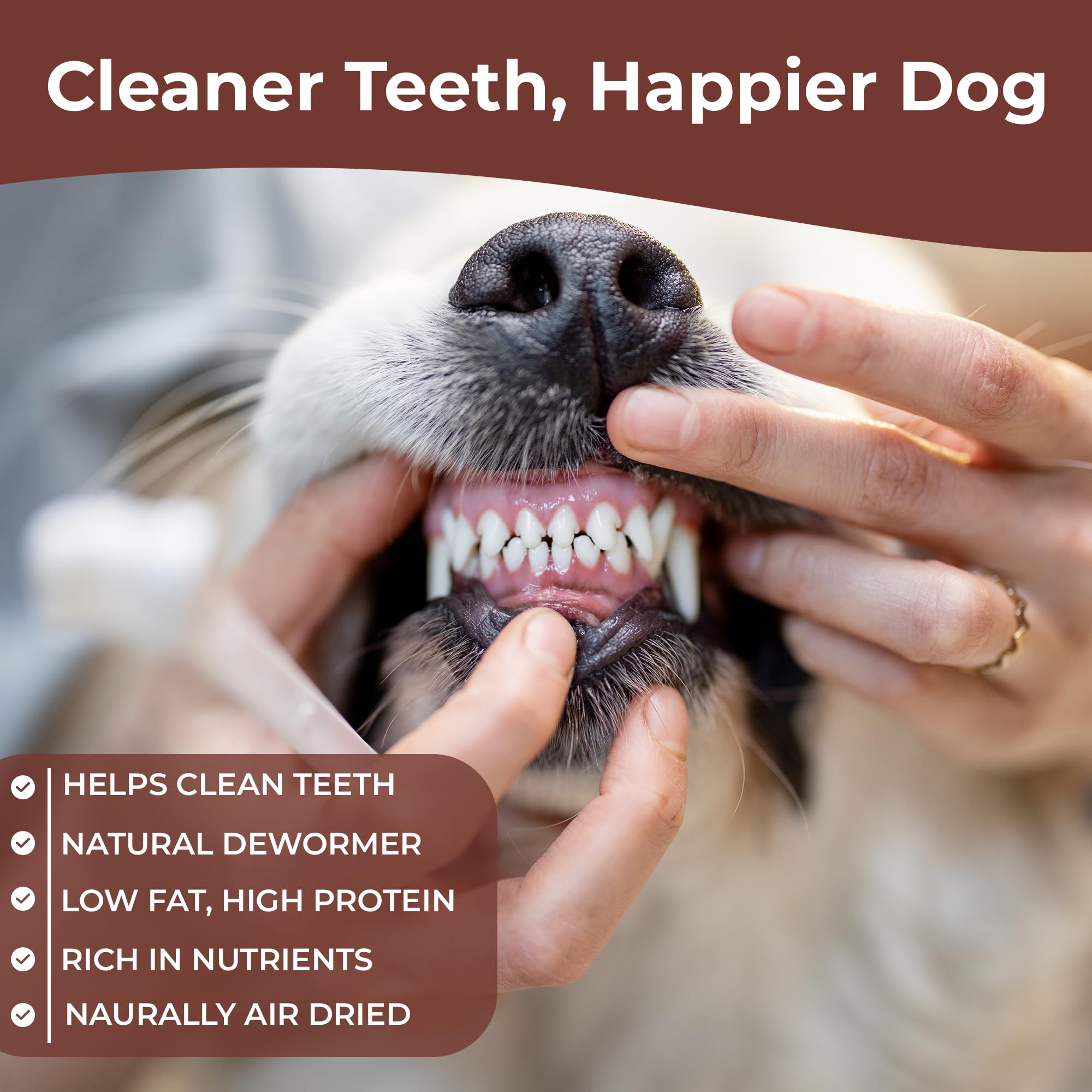 Natures Nurtured Rabbit Ears with Fur for Dogs, Natural Chew Treats for Dental Health Digestion - Image 4