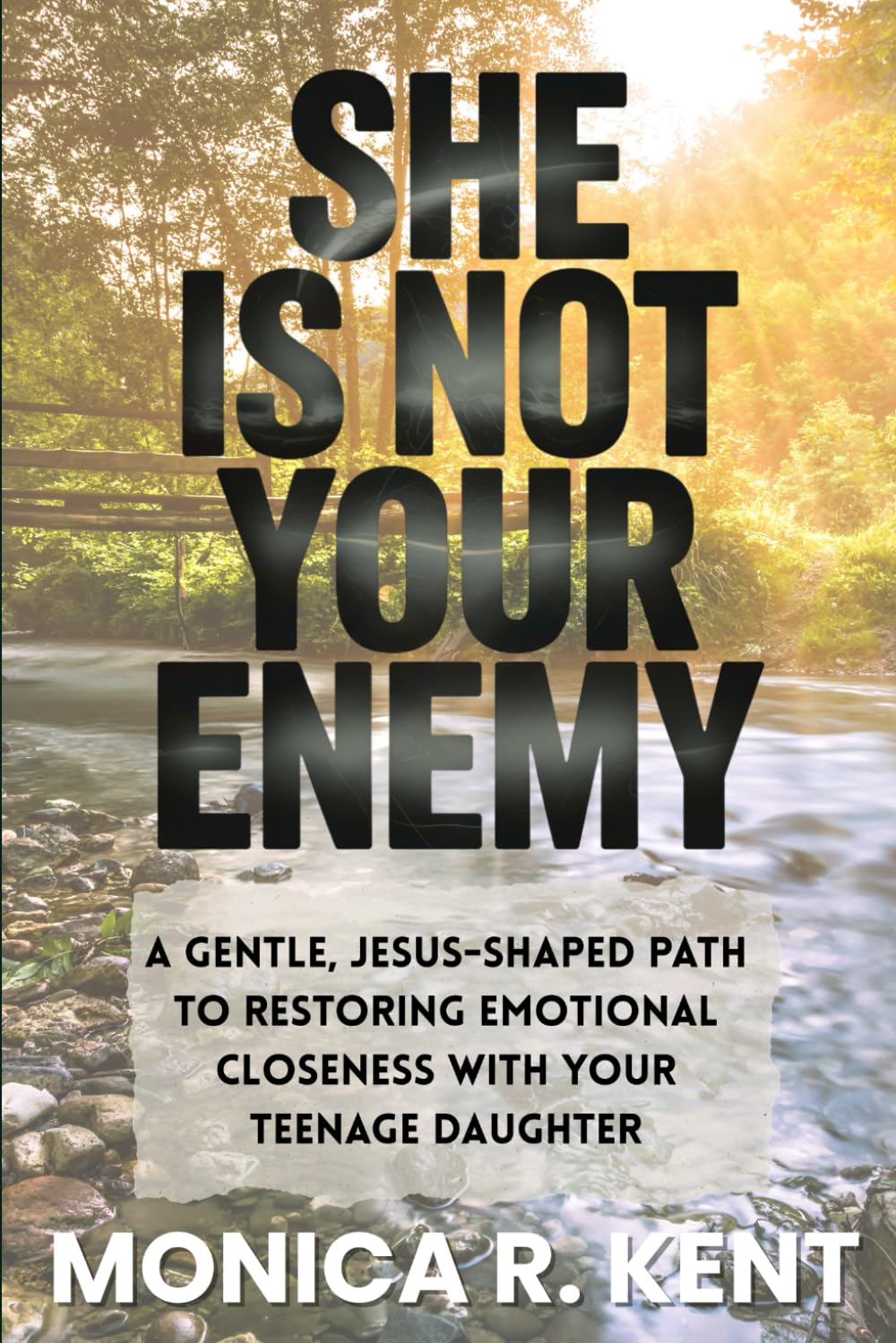 She is Not Your Enemy: A Gentle, Jesus-Shaped Path for Mothers to Restore Emotional Closeness with Their Teenage Daughter (The Mother Daughter Restoration Series)