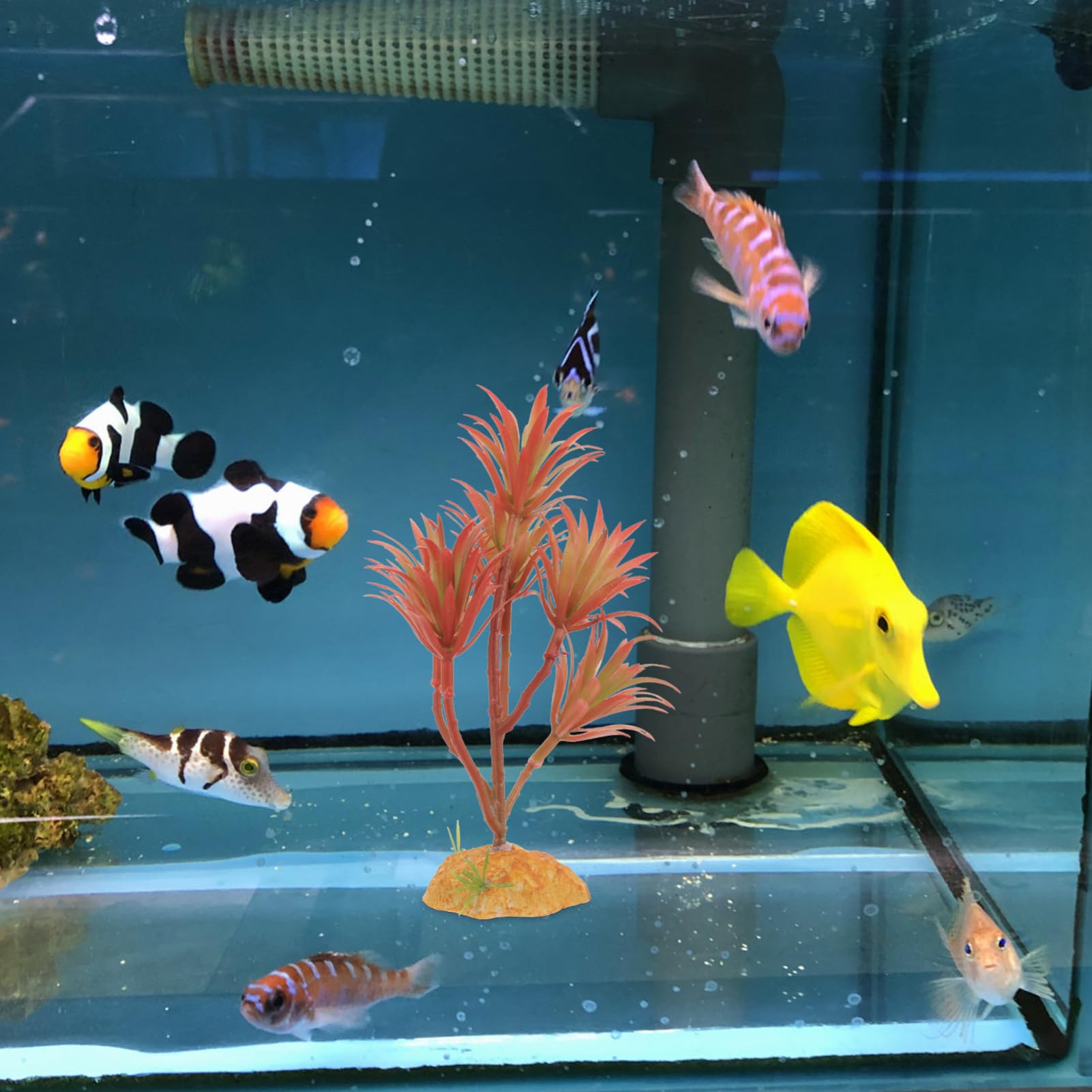 BESPORTBLE 4 Stück Künstliche Grünpflanzen Und Landschaftsgestaltung Aquariumzubehör Aquariumpflanzen Baum Eukalyptusblatt Künstliche Fischdekoration Aquarium Wasserpflanzen Aus