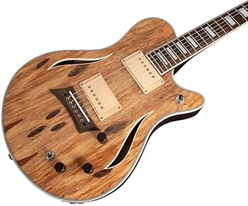 Amazon.com: Michael Kelly Electric Acoustic All-in-One Hybrid 55