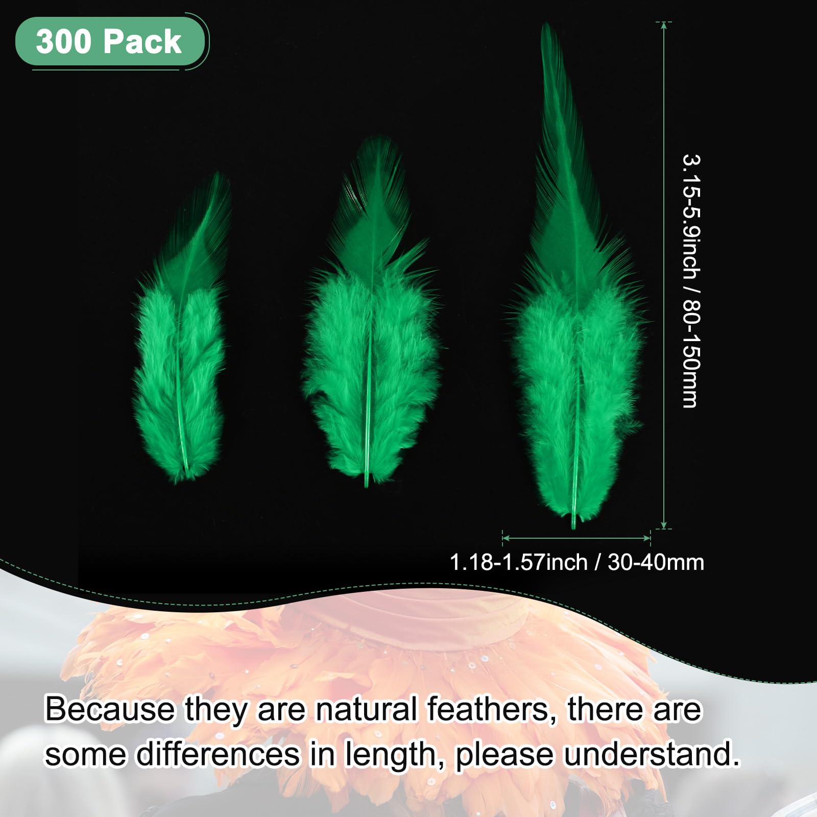 M METERXITY 300-Pack Saddle Hackle Rooster Feather - Image 3