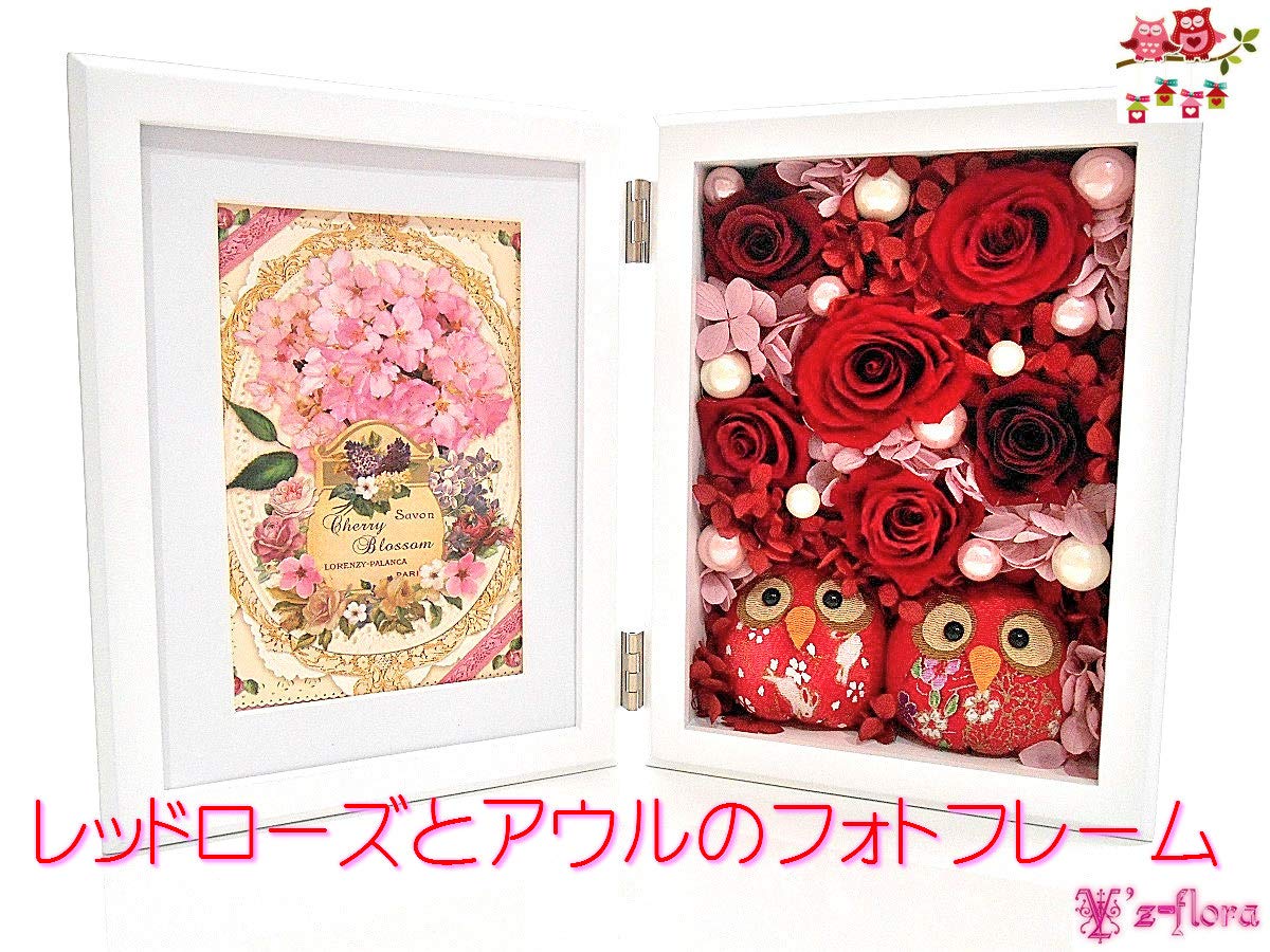 Amazon｜かわいい赤い2羽のふくろうとバラの写真立て 還暦祝い