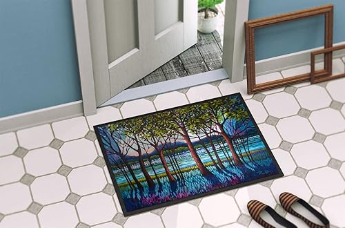Miniatura 4 de Caroline's Treasures PPD3022JMAT - Tapete para puerta delantera de río tanzanita, 24 x 36 pulgadas, para interiores y exteriores, para entrada,