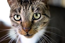 Review Image by david groves david groves