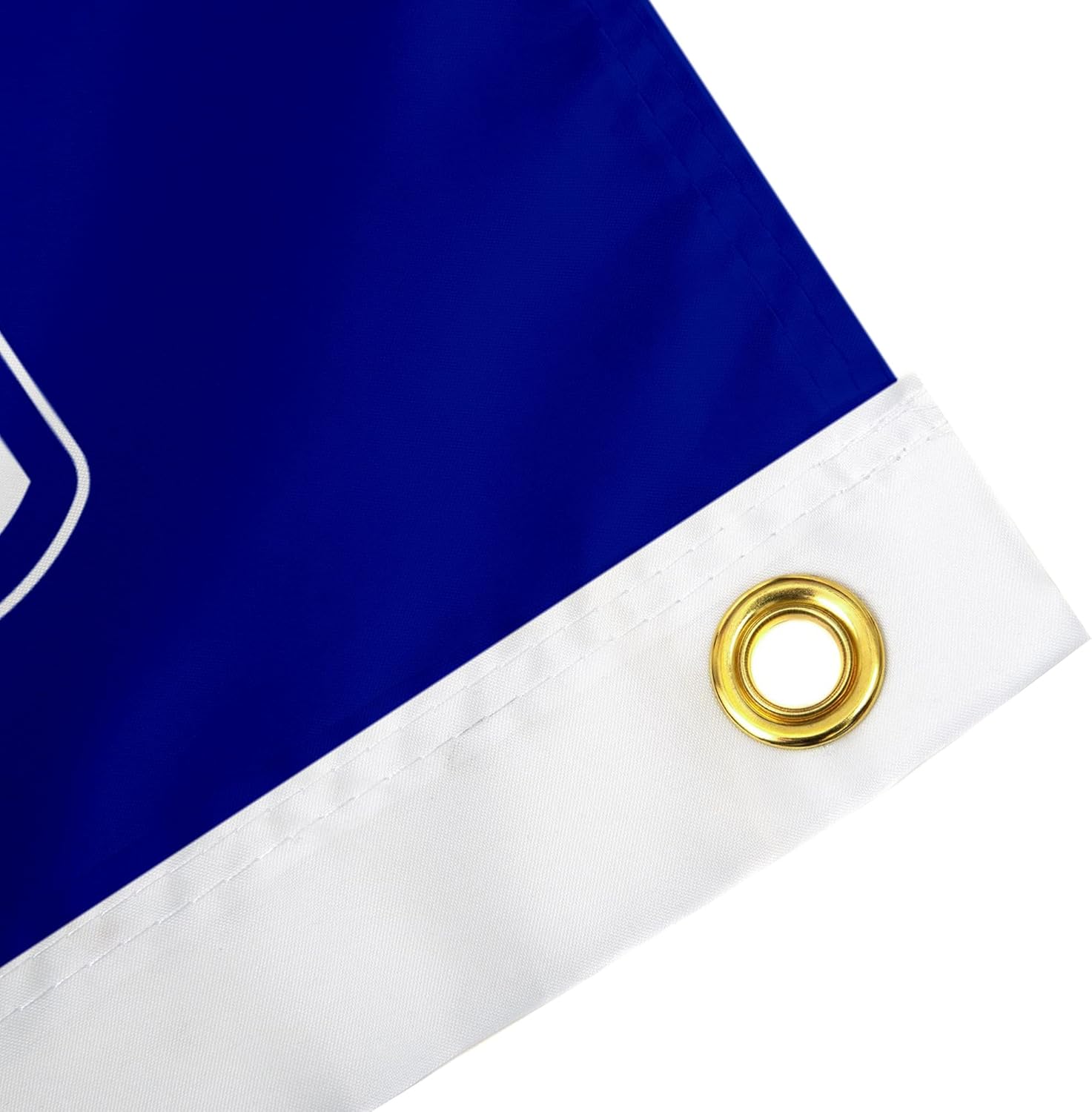 Desert Cactus Zeta Phi Beta Fraternity Flag - Greek Banner, Large 3x5 feet - for Decor, Events, and Zetas ZPHIB Pride Display (Letter)