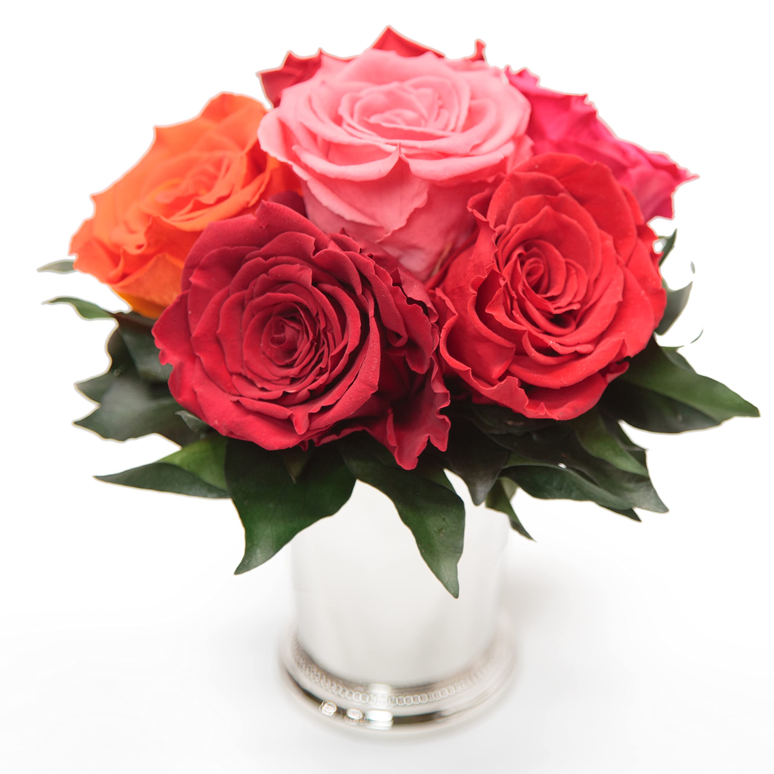 Rosengesteck 6 konservierte Rosen mit Efeublättern Infinity Rosenbox rund 3 Jahre haltbar Ø 20-23 cm Höhe 21 cm