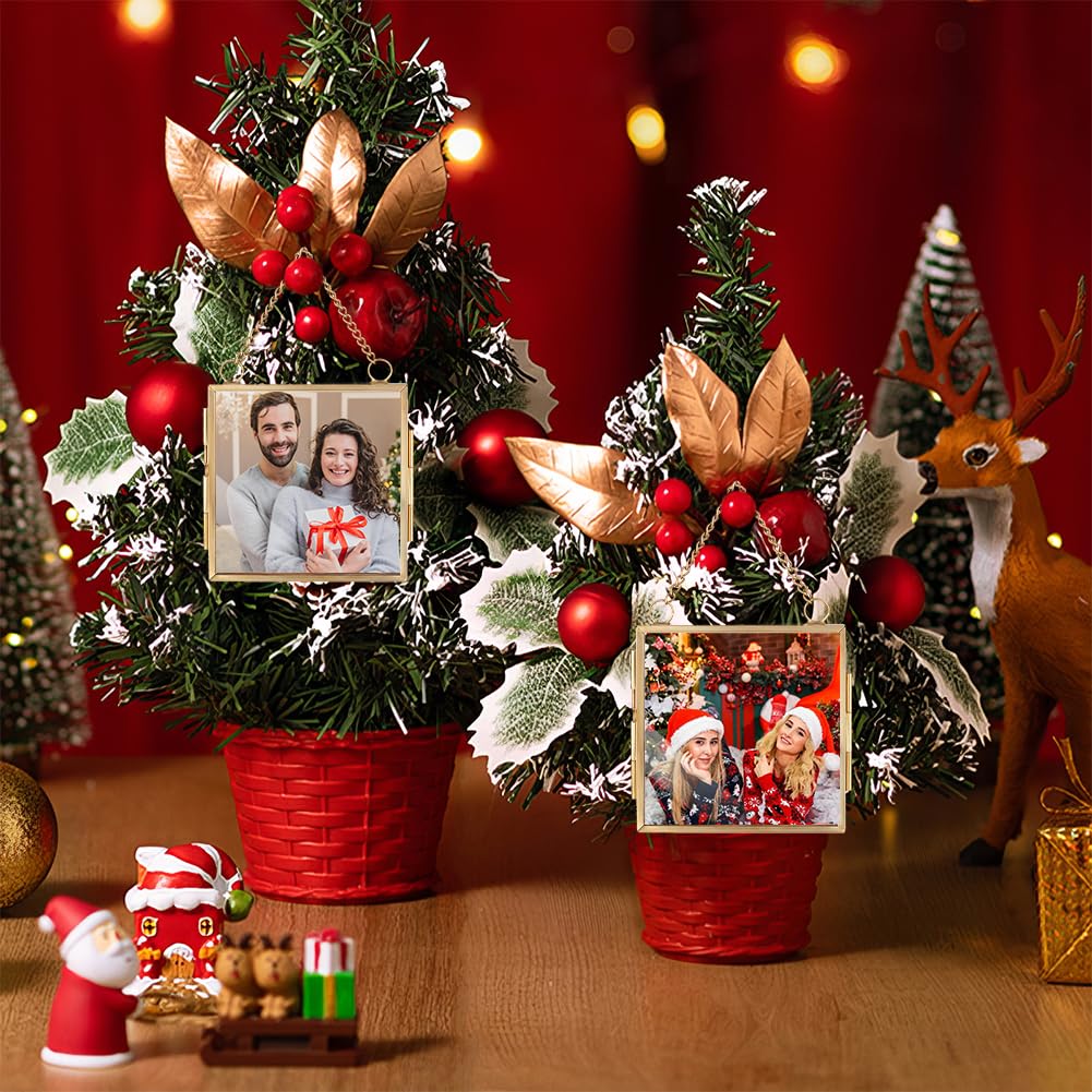 OLYCRAFT 2 stuks mini-fotolijsten voor wandmontage, 8,1 x 9,9 cm, dubbele glazen fotolijst met ketting, legering vouwframe, doe-het-zelf vintage kunstwerk, displayframes voor geperste bloemen, foto's
