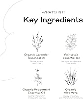 Vista 5 de After Bug Bite Roll On Alivio de la picazón causado por mosquitos, pulgas, hormigas de fuego y otras picaduras de insectos, sin perfume y seguro