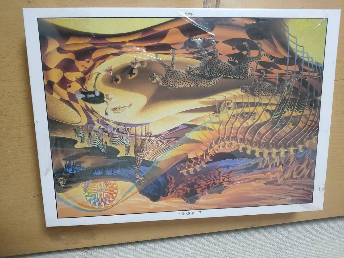 希少 中身シュリンク付 イレーヌ・メイヤー 1000ピース ジグゾーパズル