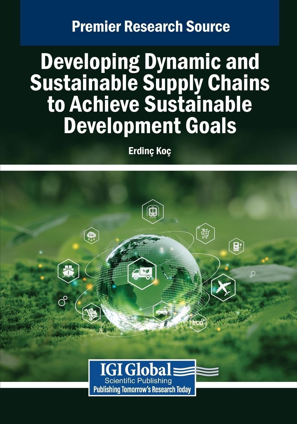 Developing Dynamic and Sustainable Supply Chains to Achieve Sustainable Development Goals