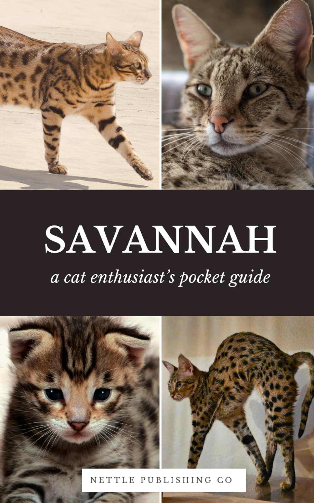 Savannah Cats | A Complete Pocket Guide Book: Breed-Specific Care Handbook With Pet Passport with Records Logbook (Cat Breeds by Nettle Publishing Co)