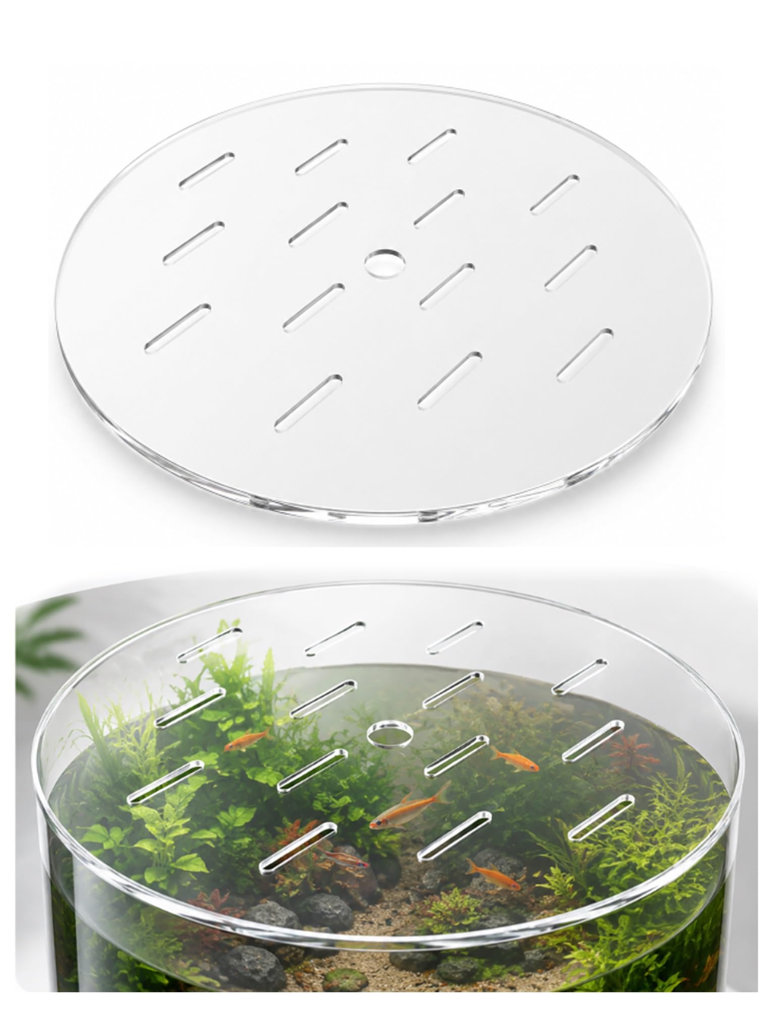 Tapa de Acuario Redonda acrílica