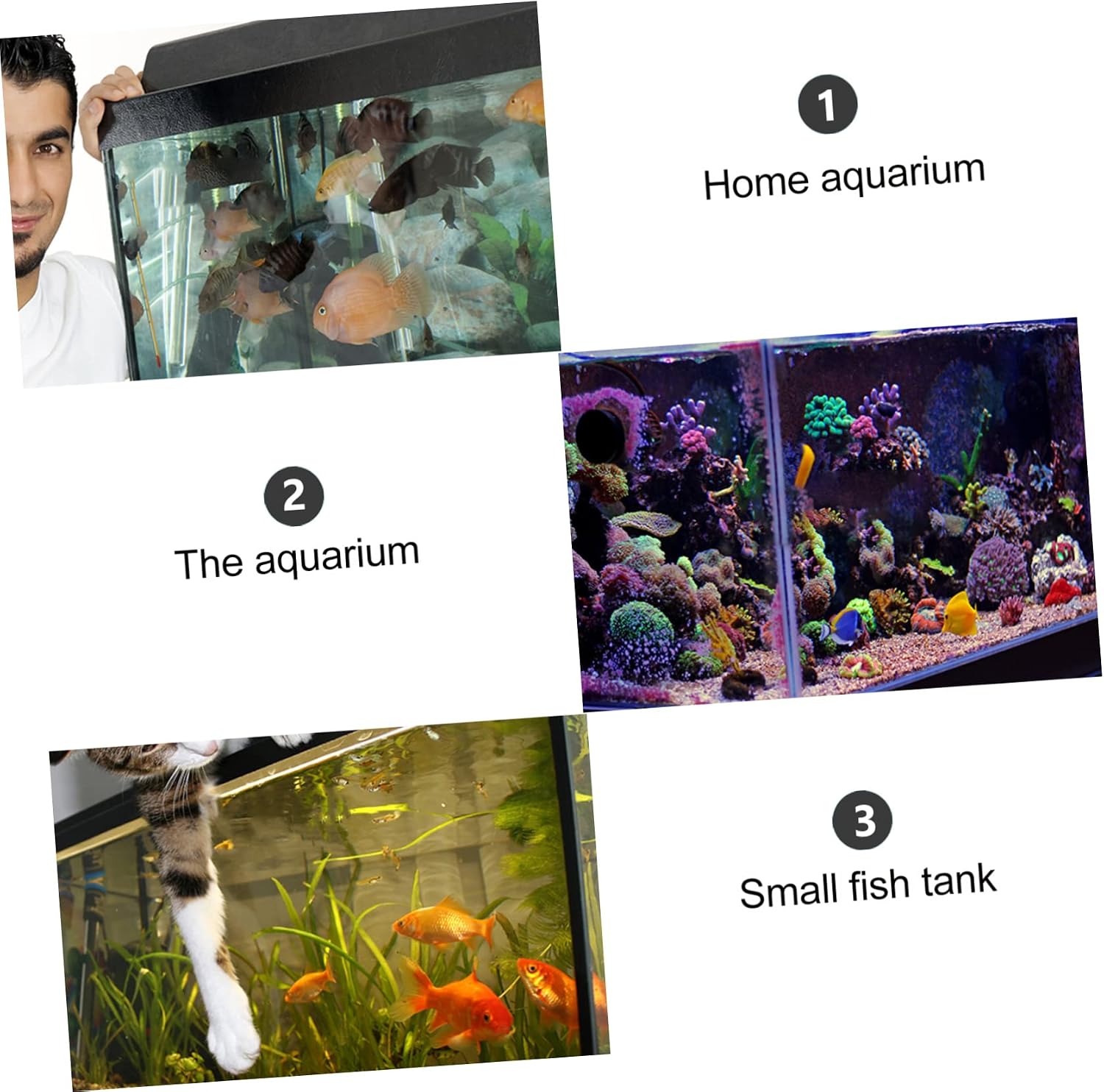5pcs Aquarium Divider Cups Easy to Install Fish Tank Clips for Glass Isolation Clamps for Tank Heating Divider for Freshwater Decor