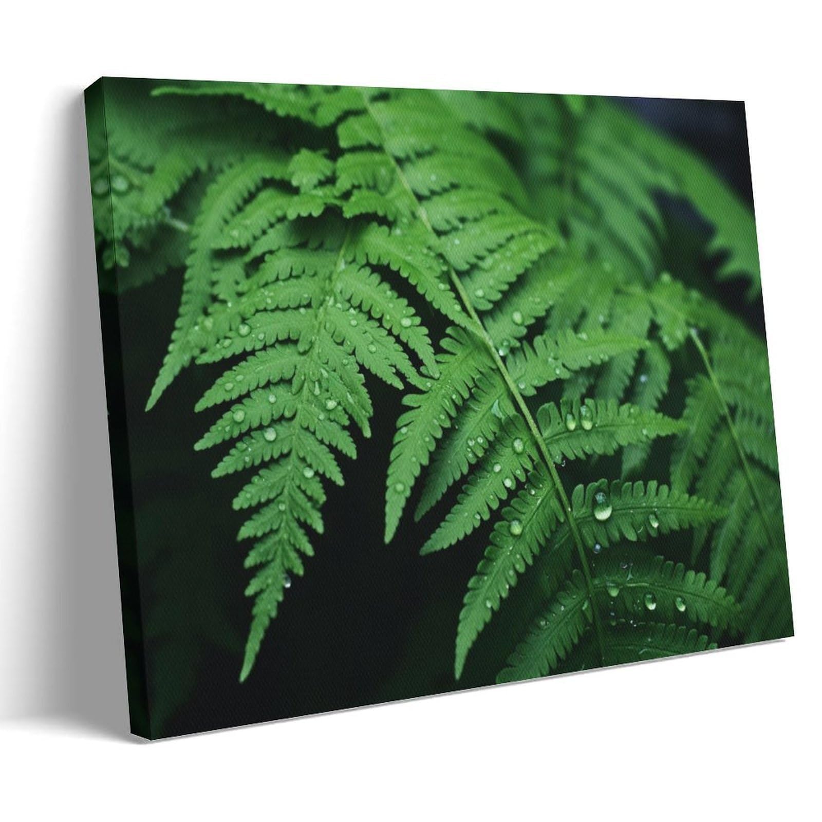 GMUKIFFY Modern Ferns Painting on Canvas Wall Art Rustic Green Plants Leaves Stretched And Framed Canvas Prints Artwork for Home Decorations Ready to Hang Wall Decor 08x12inch(20x30cm)