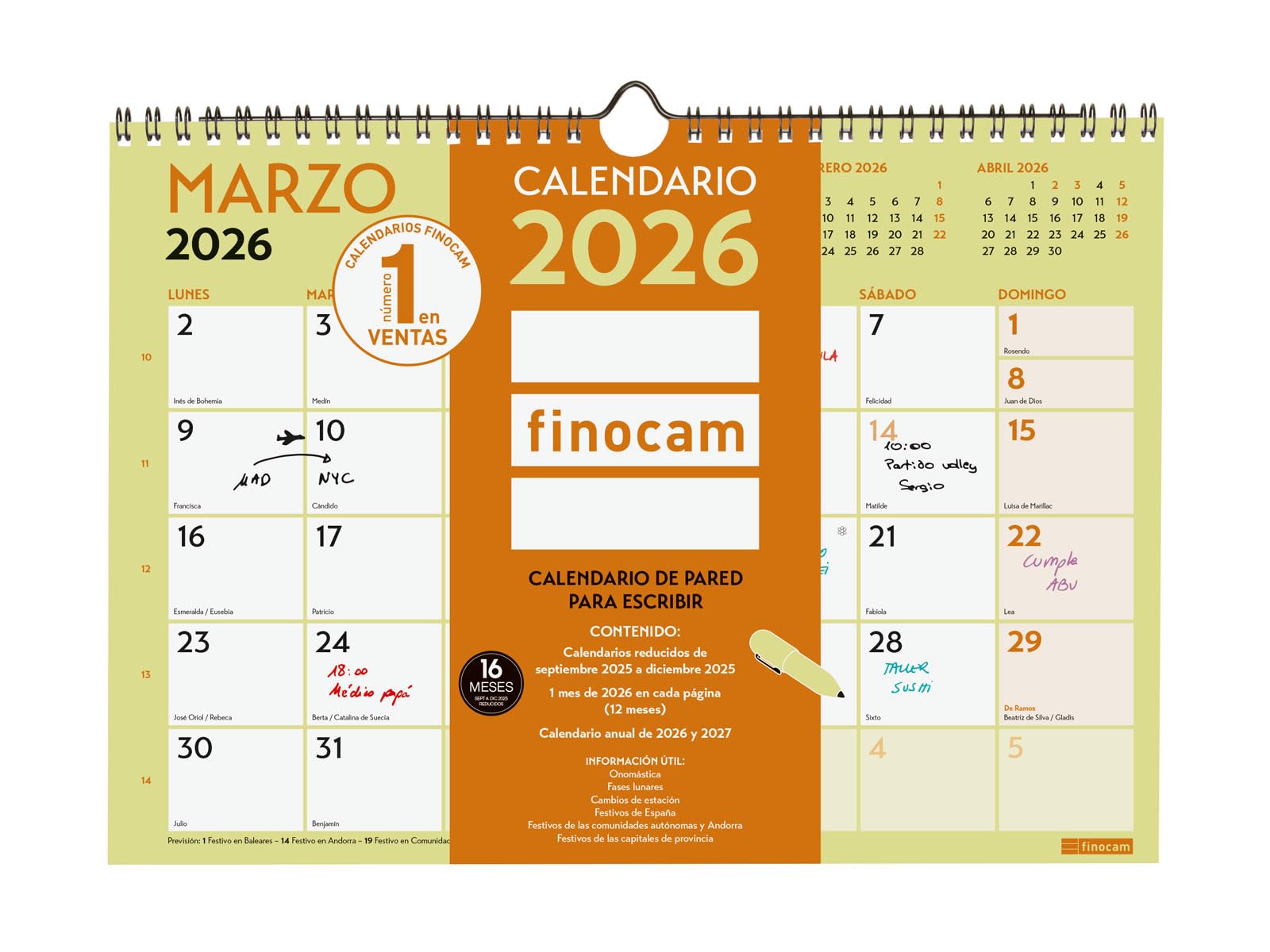 Finocam - Wall Calendar 2026 Month View January - December 2026 + Sep.- Dec. 2025 (4 months) reduced | Calendar 2026 | Monthly Planner Grafik - English
