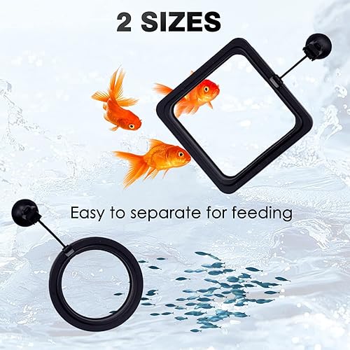 Miniatura 5 de Anillo de alimentación de peces, accesorio automático para acuario, evita que los alimentos no se vuelvan, ideal para propietarios ocupados, hecho