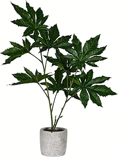 Vickerman Everyday 17