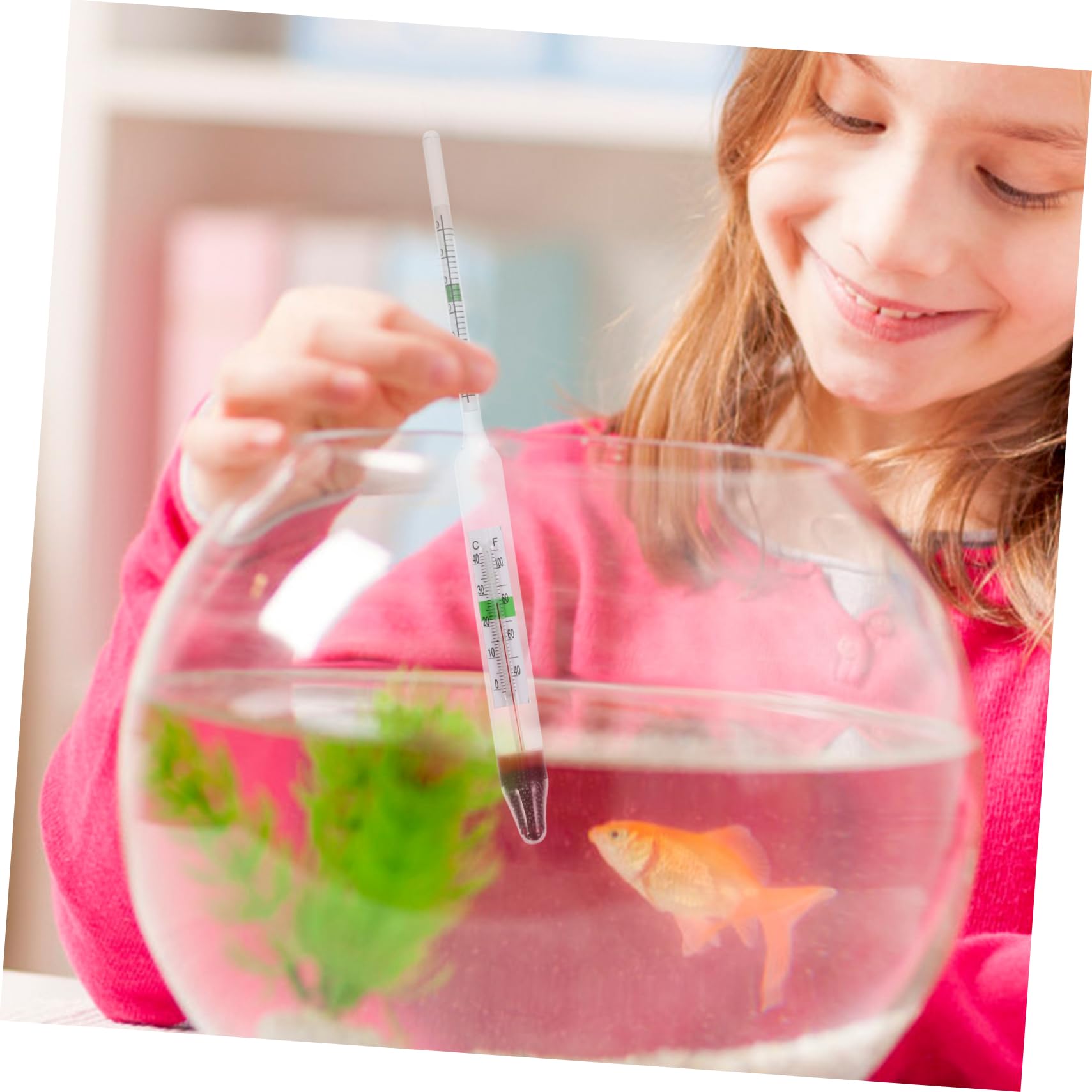 SOLUSTRE 4sets Densitometro Per Acquario Strumento Di Misura Della Salinità Kit Completo Per Acquacoltura e Pesca Include Graduato Per Ambienti Marini e Acquari
