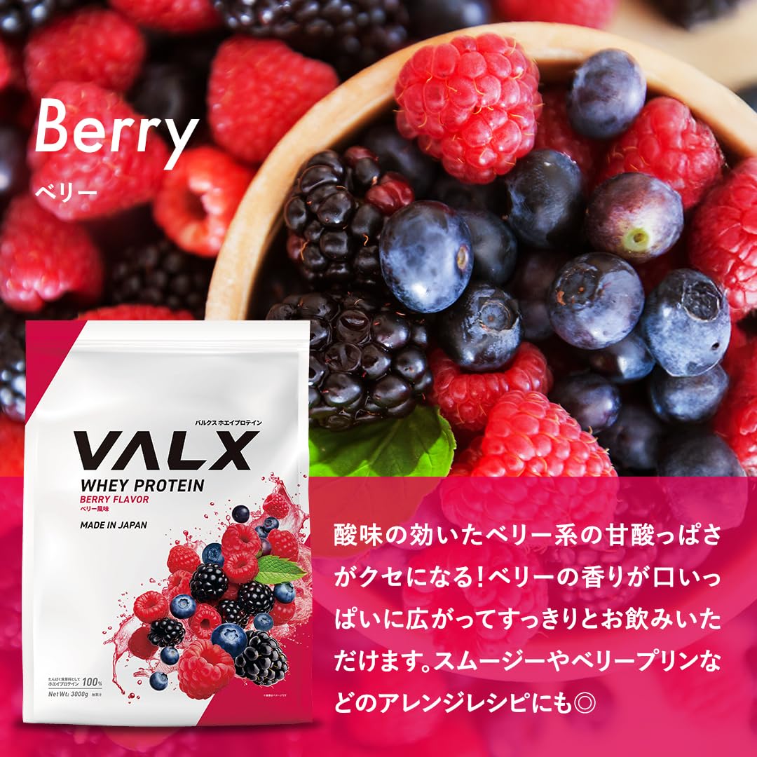 バルクス　ハエプロテイン　ベリー風味 Amazon | VALX バルクス ホエイ プロテイン 420g ベリー 風味 ホエイ