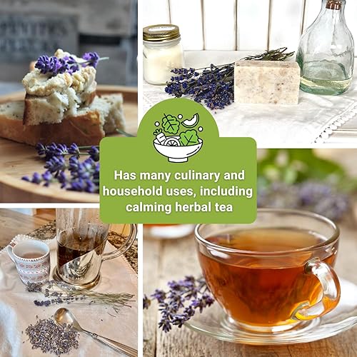 Miniatura 6 de Sow Right Seeds - Colección de semillas de lavanda para plantar - Paquetes de reliquia sin OMG con instrucciones para cultivar un hermoso jardín de