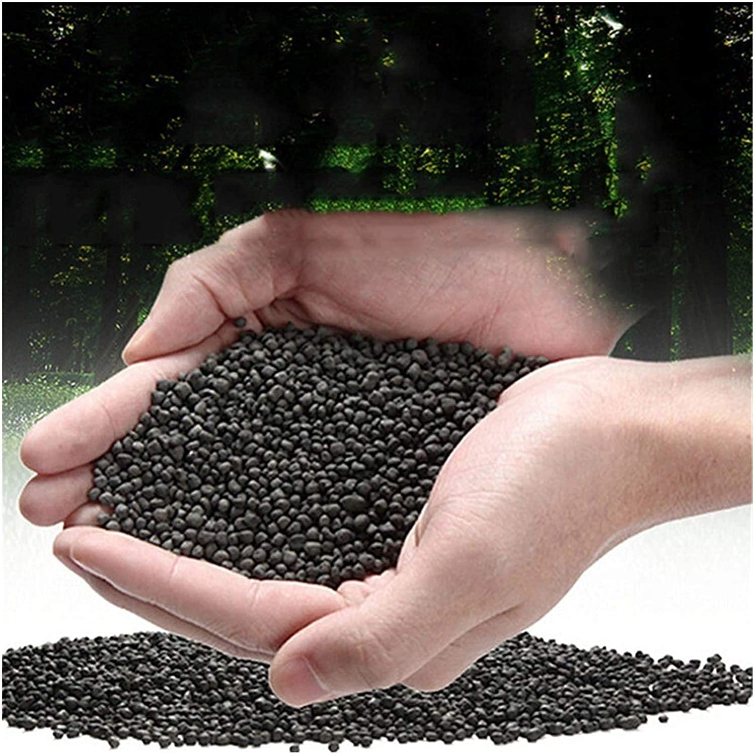 Premeir Plants Lava Chips (Black)