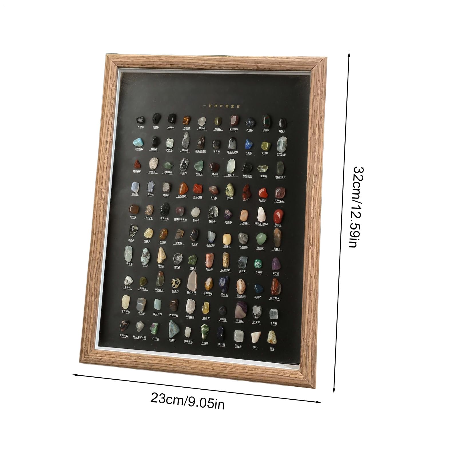 Colección de Minerales 100 Piezas Naturales para Coleccionistas | Kit De Ciencia Infantil Con Especímenes De Minerales En Bruto Para Niños Adultos Coleccionistas Oficina Sala Dormitorio
