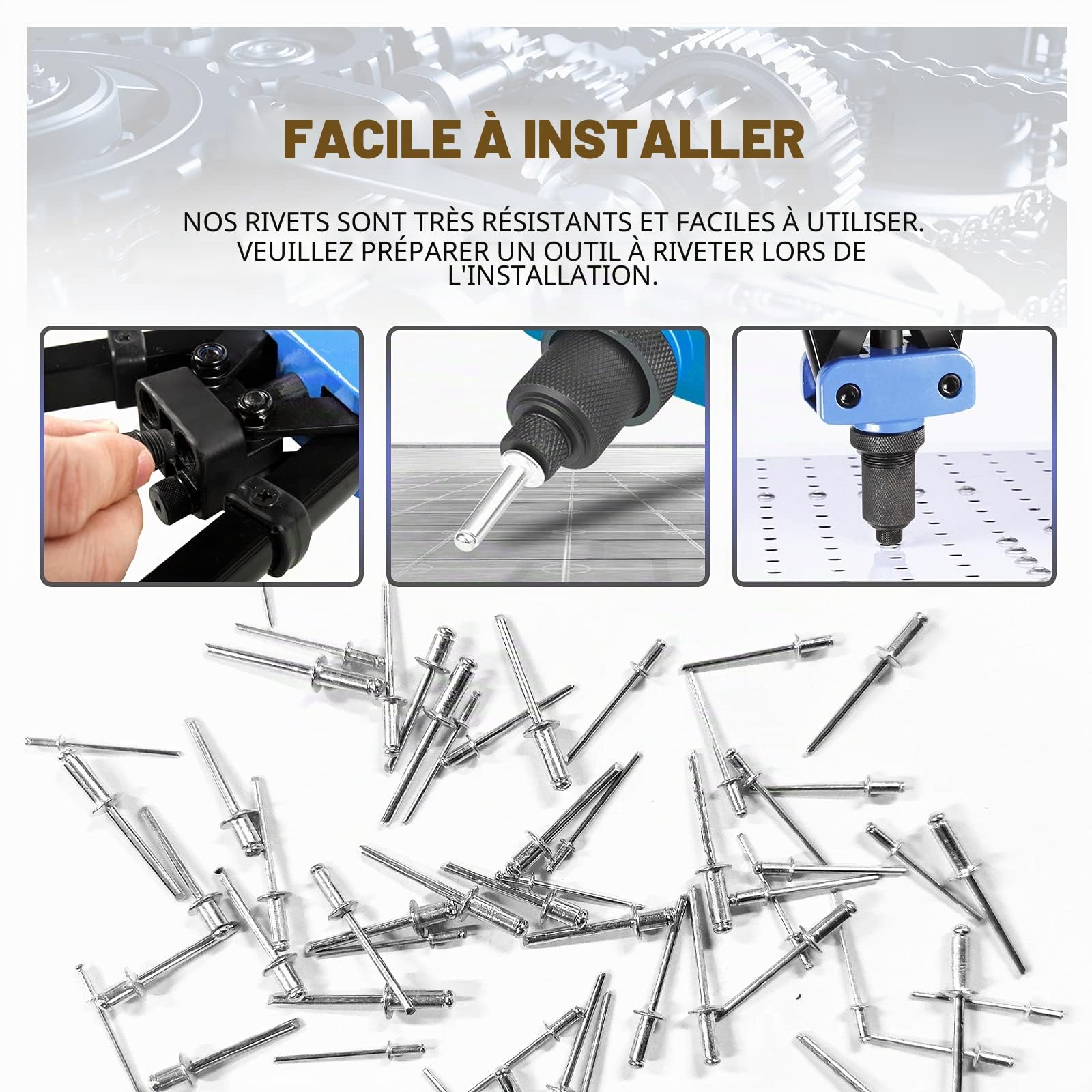 CCLIFE 1000 Pièces Boite de rivet pop，Rivets aveugles aluminium Ø2.4mm-3.2mm-4mm-4.8mm
