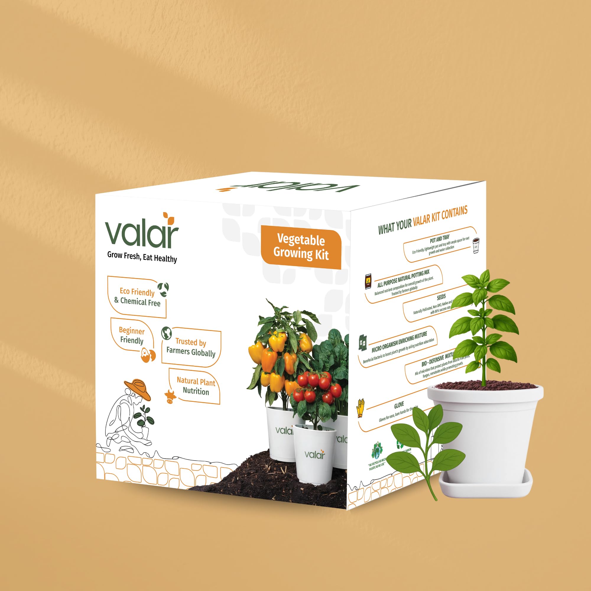 Valar Oregano Growing Kit | DIY All-in-One Home Gardening Set (Pack of 1 - Big) | Organic Seeds +Bio- Fertilizers + 24x7 Support (No Pot/Grow Bag)-picture-48