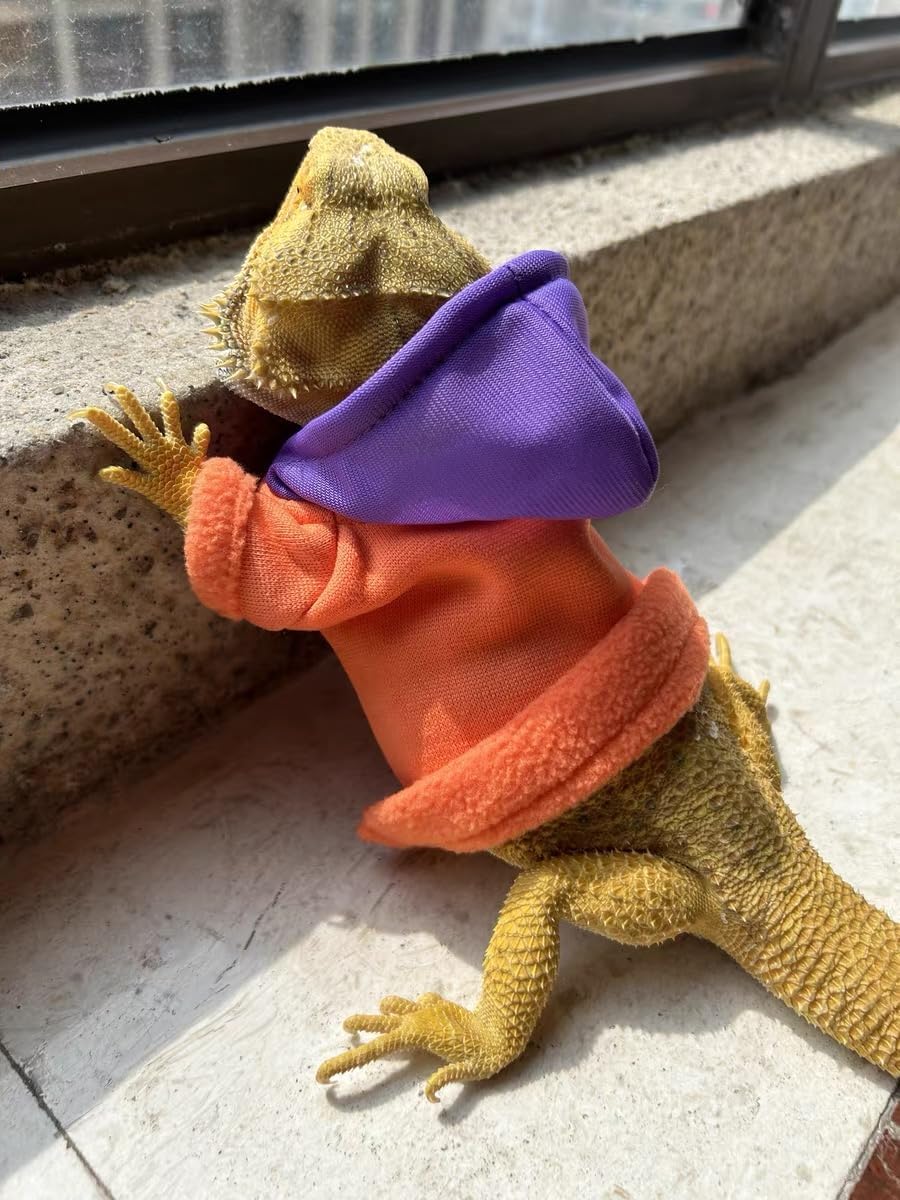 Lizards Clothes for Bearded Dragon Handmade Cotton UK Ubuy