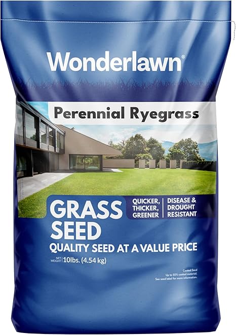 Amazon.com : Barenbrug Wonderlawn Perennial Ryegrass Grass Seed for ...