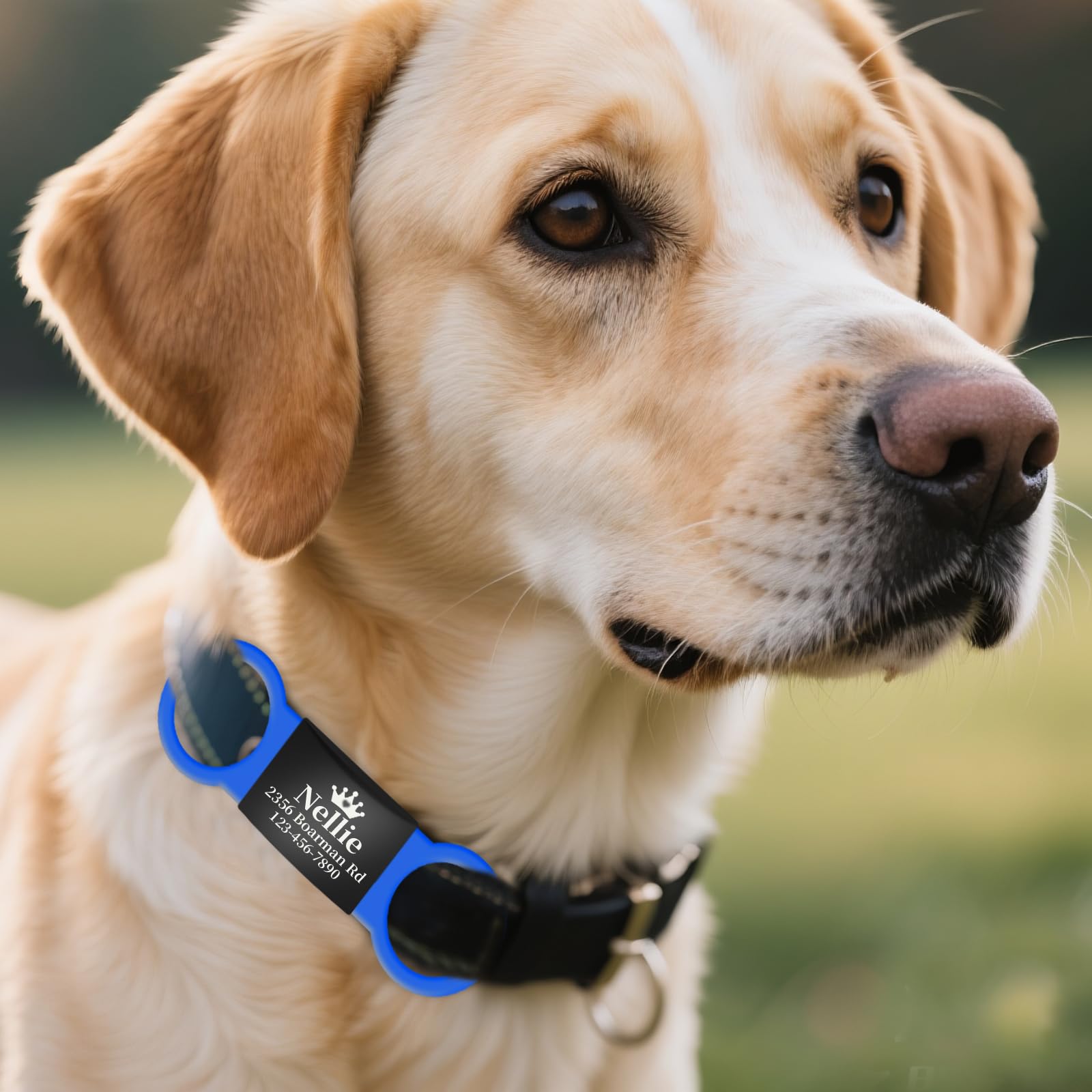 Leise Hundemarke mit Gravur, Personalisiertes Namensschild für Hunde/Katzen, Rutschfester Silikonring & Edelstahl in 7 Farben, Größe S/M/L