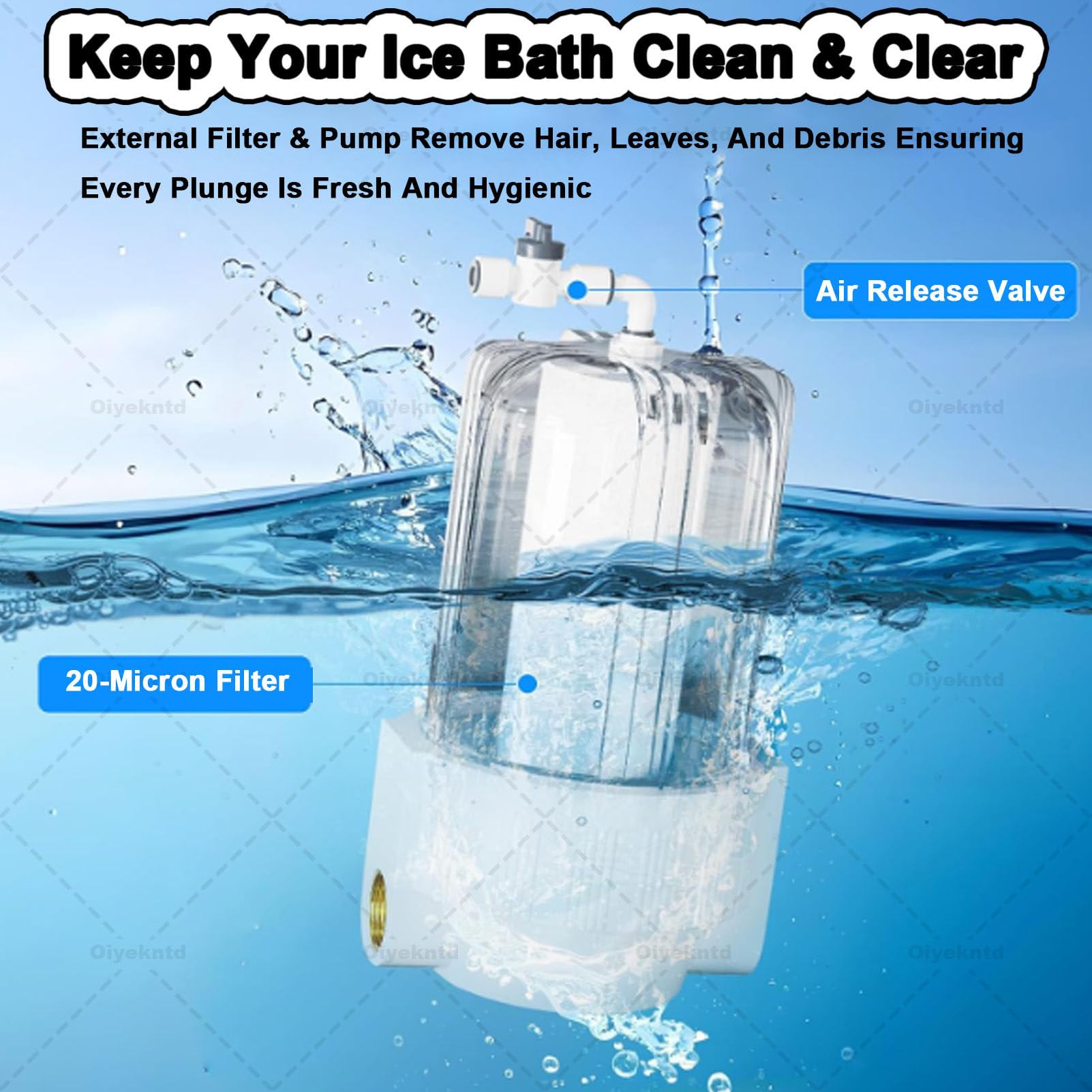 Refrigeratore d'acqua per vasche idromassaggio fredde, refrigeratore d'acqua per vasche idromassaggio fredde con 2 pompe, filtro esterno e telecomando, unità di raffreddamento d'acqua per vasche