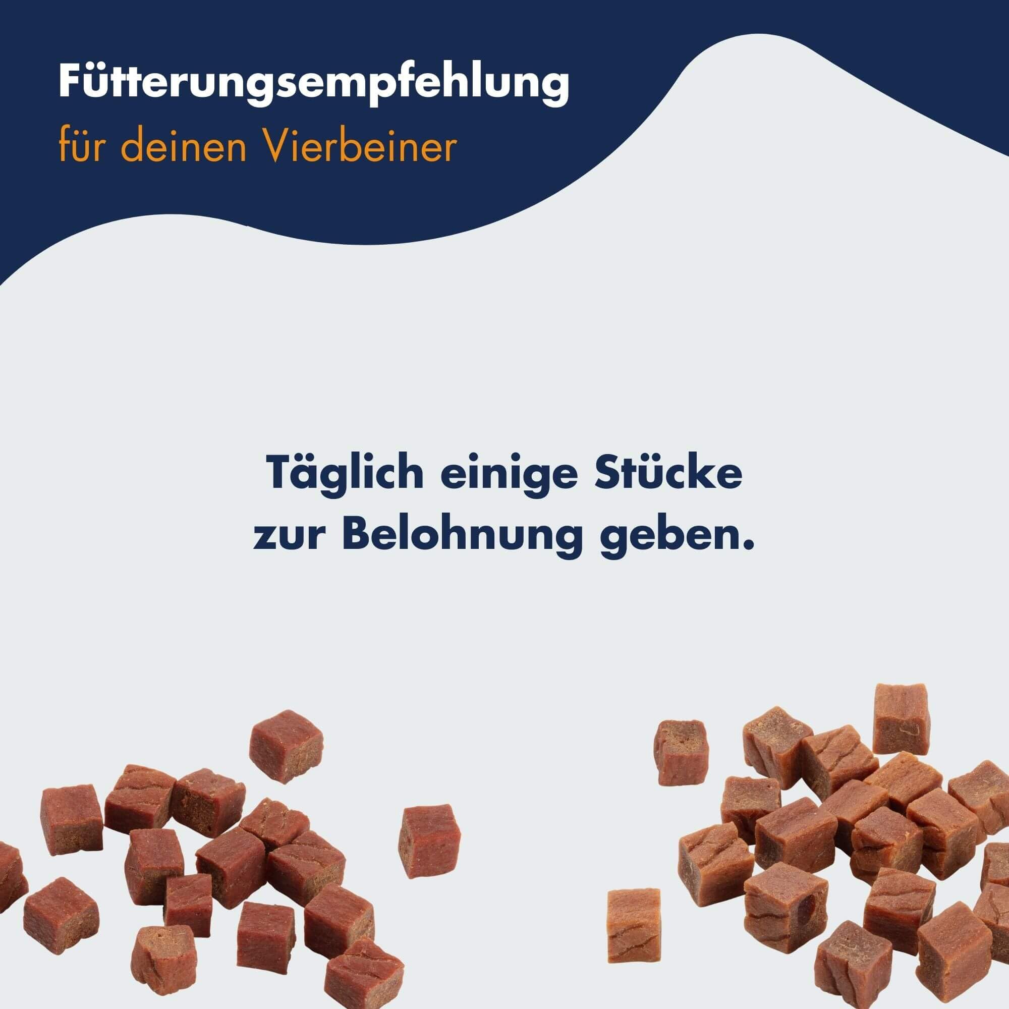 Trainee Snack Mega Mix 2 | Leckerli für Hunde & Katzen | 2 x 500 g