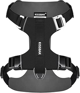 KISSBAK No Pull Dog Harness with Handle - Easy Walk,2 Leash Clips,3 Buckles No Choke Soft Padded for Small Medium and Large Dogs (L,Black)