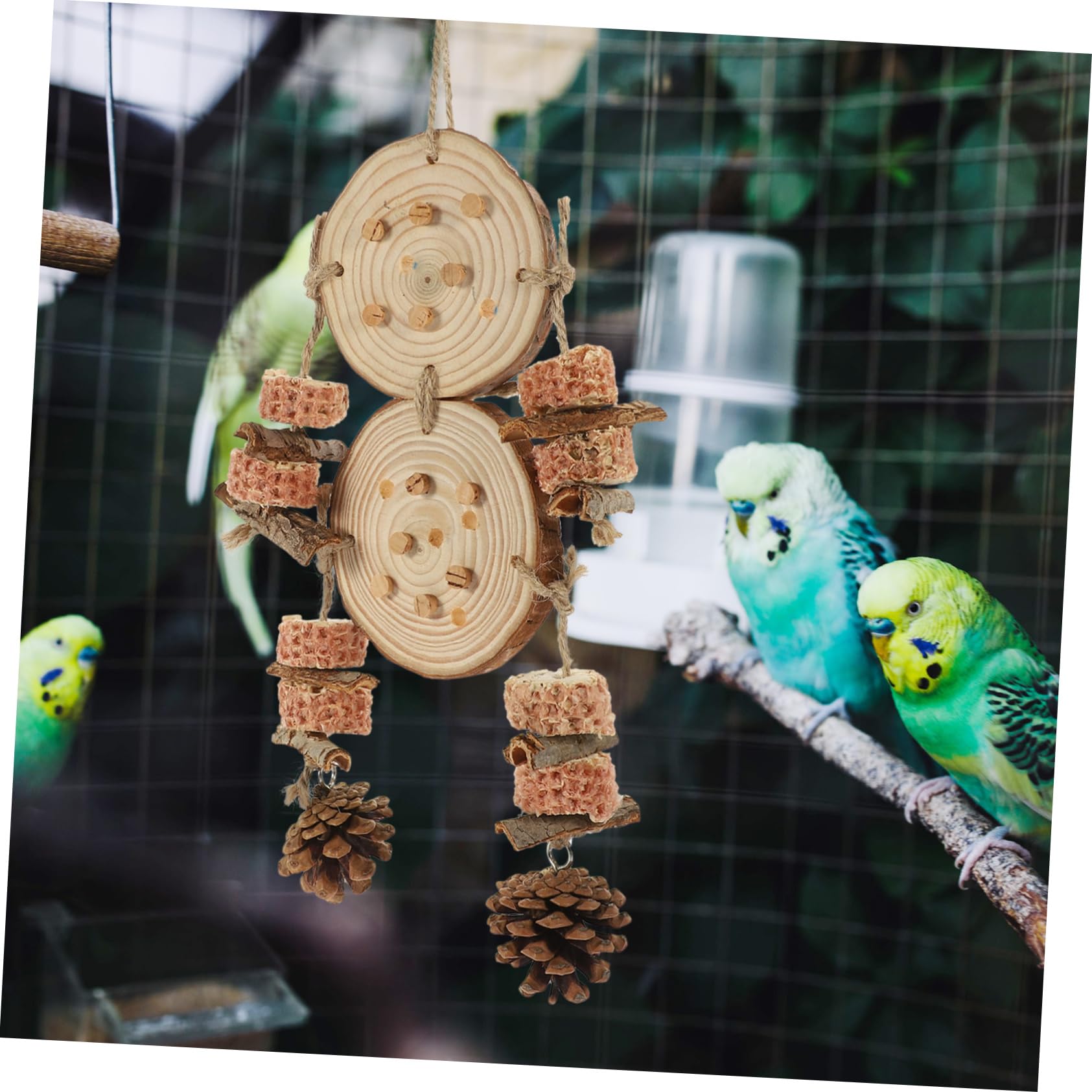 Kisangel 5 Pièces Perroquet Broie Le Bec Et Mâche des Jouets Jouet pour Animaux De Compagnie De Perruche De Balançoire D'Oiseau s De Calopsitte d'oiseaux Perroquet