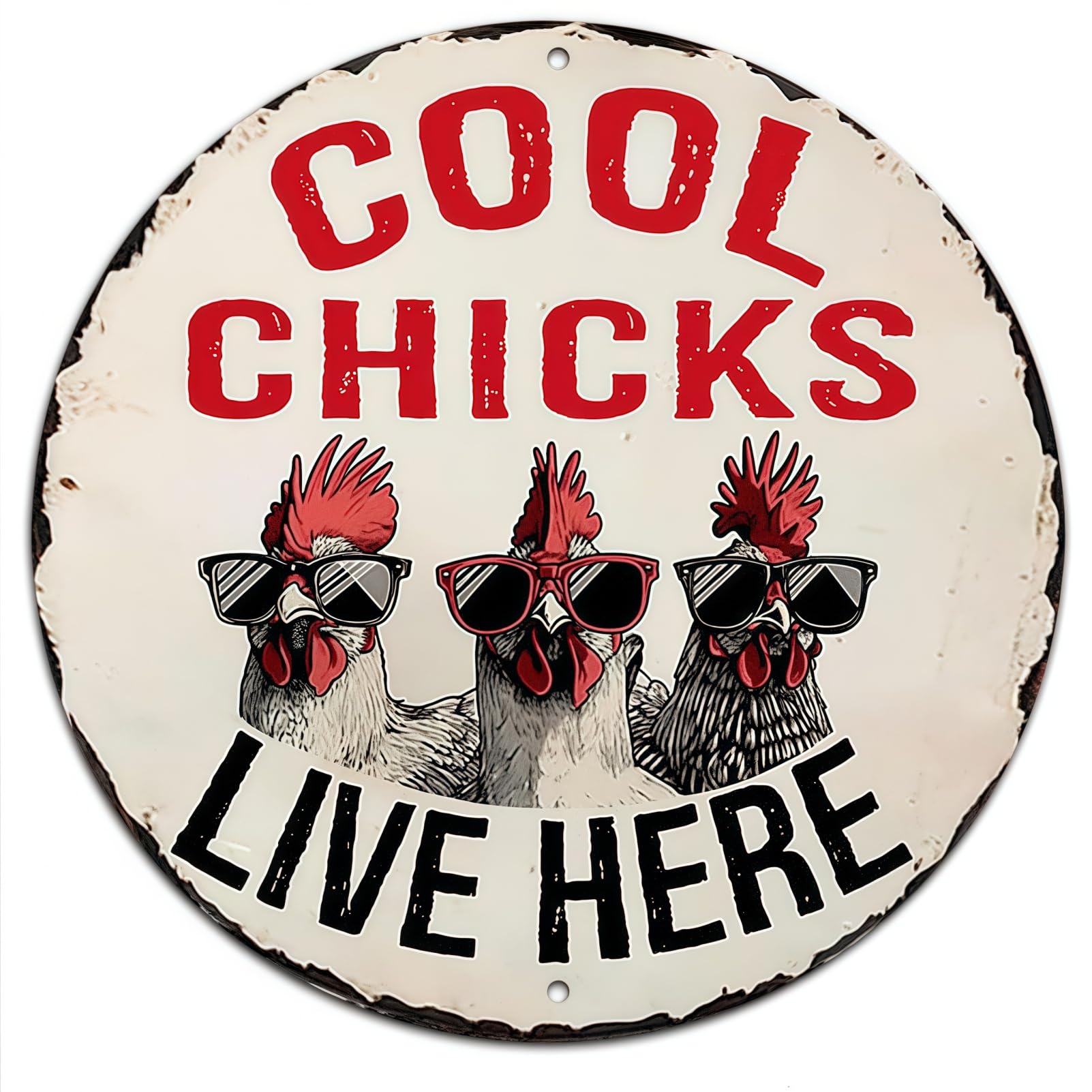 1 PCS Vintage Metal Signs, Chicken Coop Decor & Backyard Signs, Rustic Farmhouse Wall Art for Poultry Shed, Garden Ornaments with Mounting Holes (20x20cm)​