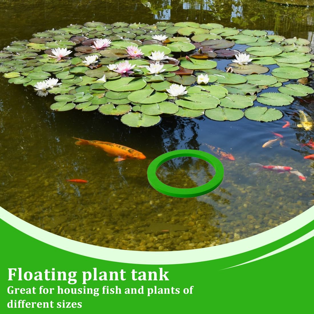 WUSJCOF 5 Pièces Anneaux Flottantes d'Aquarium, Corail Flottant en Mousse, Anneau d'alimentation Poisson pour Aquarium avec Plante Aquarium (5 tailles)