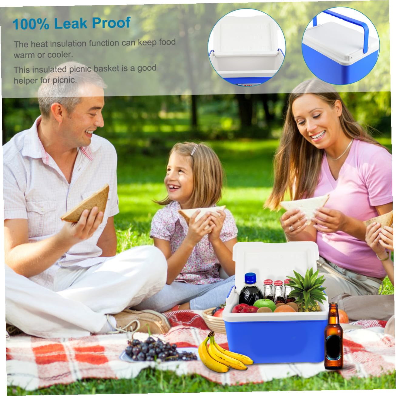 Toddmomy Cestino Refrigerante Portatile 12l in PVC con Manico, Box Termico per Alimenti Caldo e Freddo, per Picnic