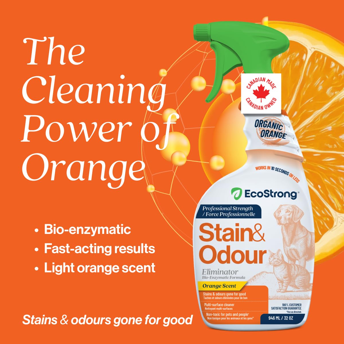 Eco Strong Orange Enzyme Cleaner | Made in Canada | Powerful Orange Extract Urine Destroyer and Probiotic Enzyme Pet Odor Eliminator (946 mL) - 5