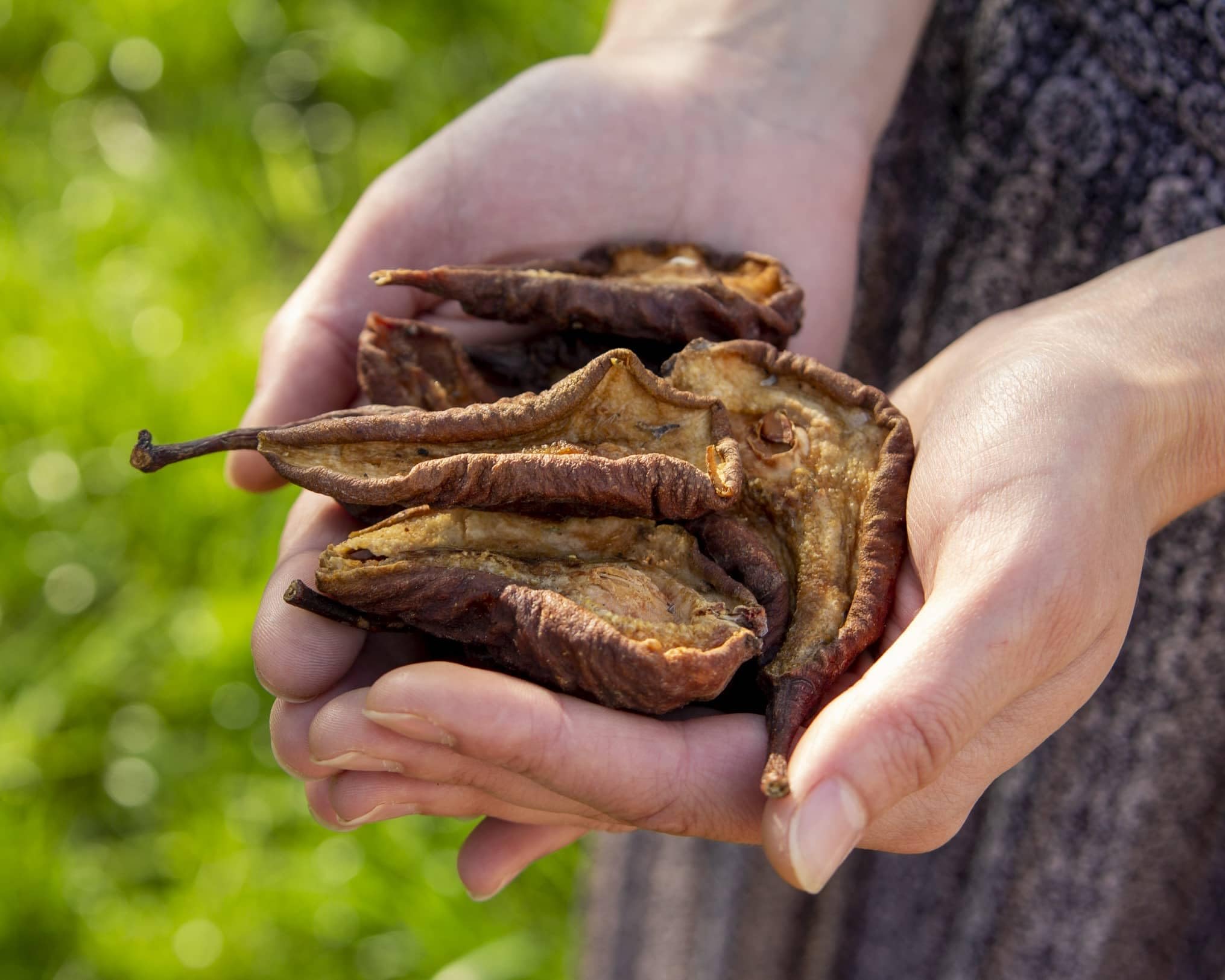 GELVIU Birnen Getrocknet Ungezuckert 2kg- Birnen Sonnengetrocknet - Getrocknete Früchte Birnen für Kompott ohne Konservierungsstoffe Superfood Unterstützt das Verdauungssystem