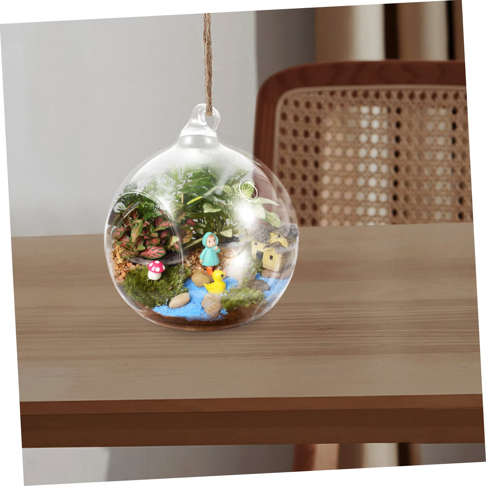 エアープランツ付きガラスハンギングテラリウム エアプランツが主役の