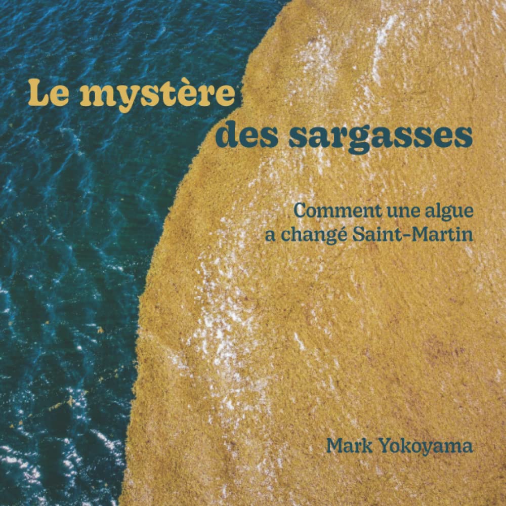 Le mystère des sargasses: Comment une algue a changé Saint-Martin